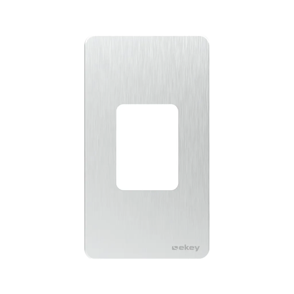 dLine design element deur kader (zilver).webp