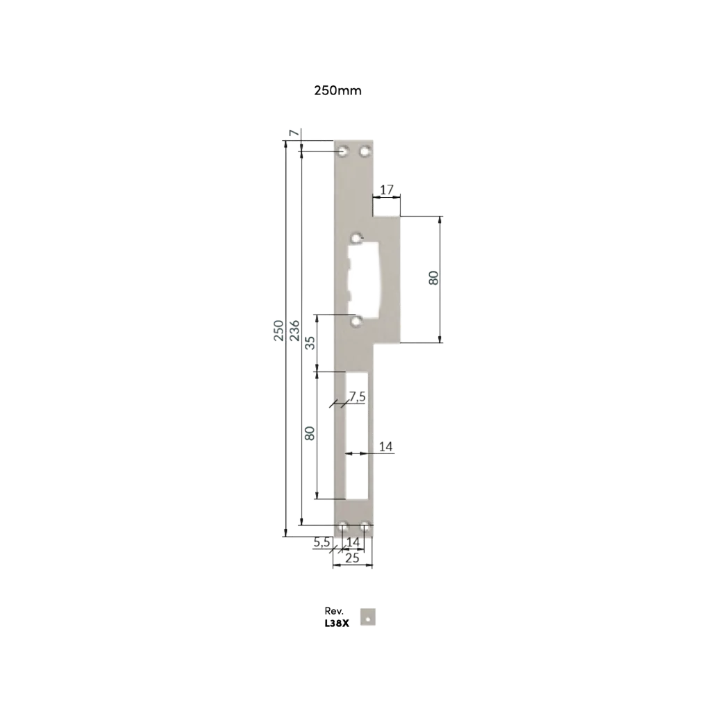 Voorplaat L38 omkeerbaar inox.webp