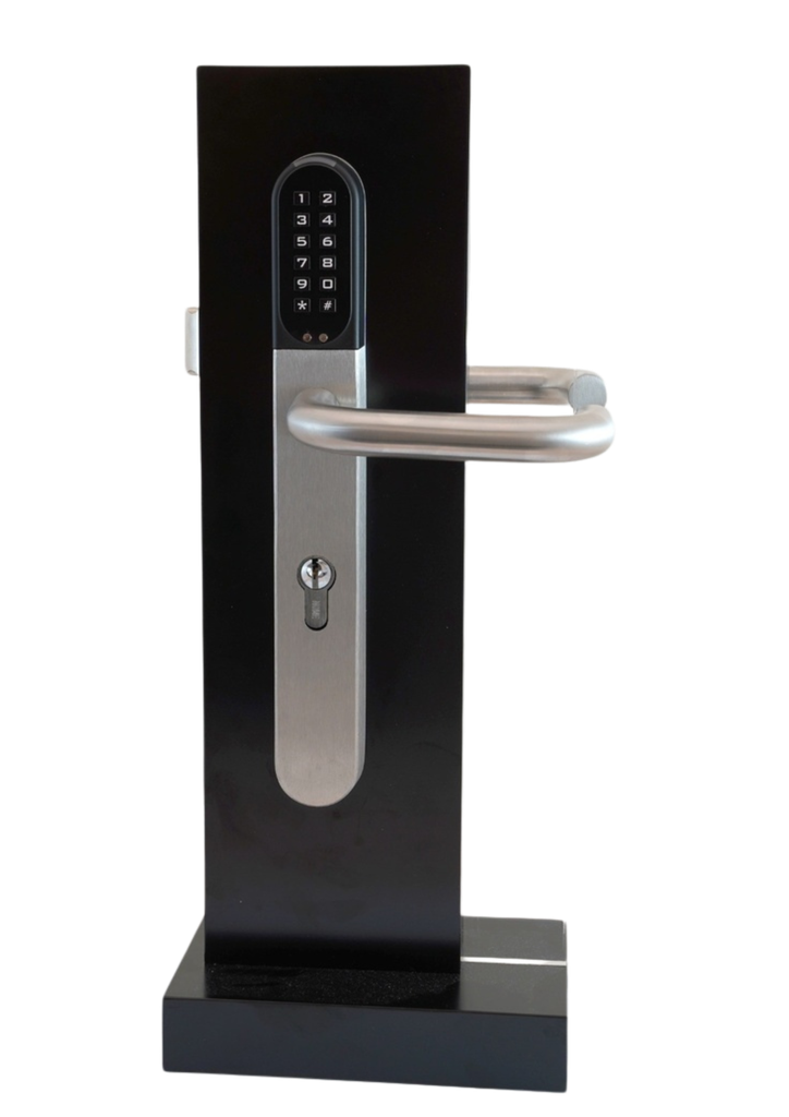 [WA-LiveAM-Demo] WA-LiveAM-Demo